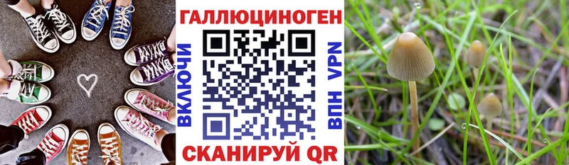 Псилоцибиновые грибы мухоморы  где продают   Обь 